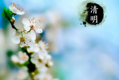 1648892460375238.png 14151TJ3-1.png